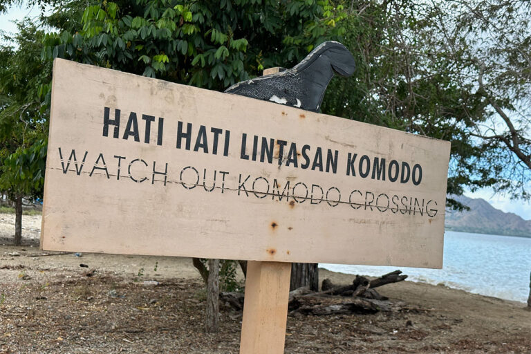 Img labuan bajo komodo park 06