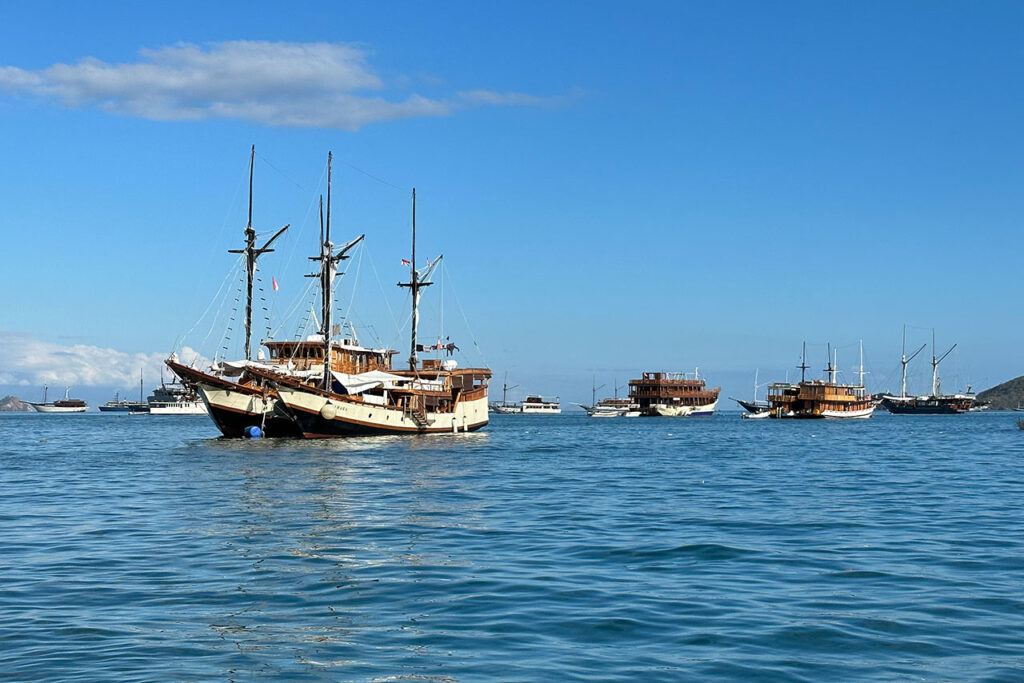 Several wooden sailing ships, including a majestic phinisi boat, float on calm blue water under a clear sky, with distant ships and land visible on the horizon.