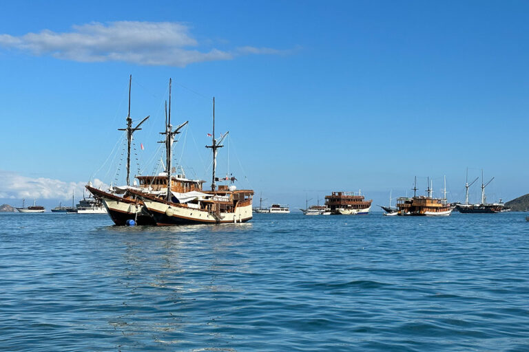 Several wooden sailing ships, including a majestic phinisi boat, float on calm blue water under a clear sky, with distant ships and land visible on the horizon.
