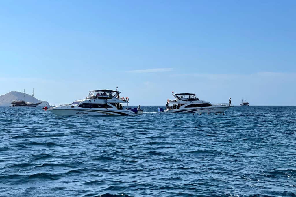 Img labuan bajo dive